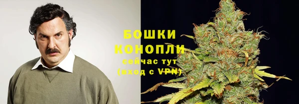 дурь Заводоуковск