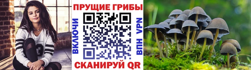 Галлюциногенные грибы ЛСД  Купить где  Грязовец 