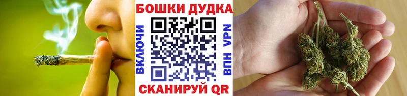 Купить  Грязовец  Бошки марихуана ГИДРОПОН 
